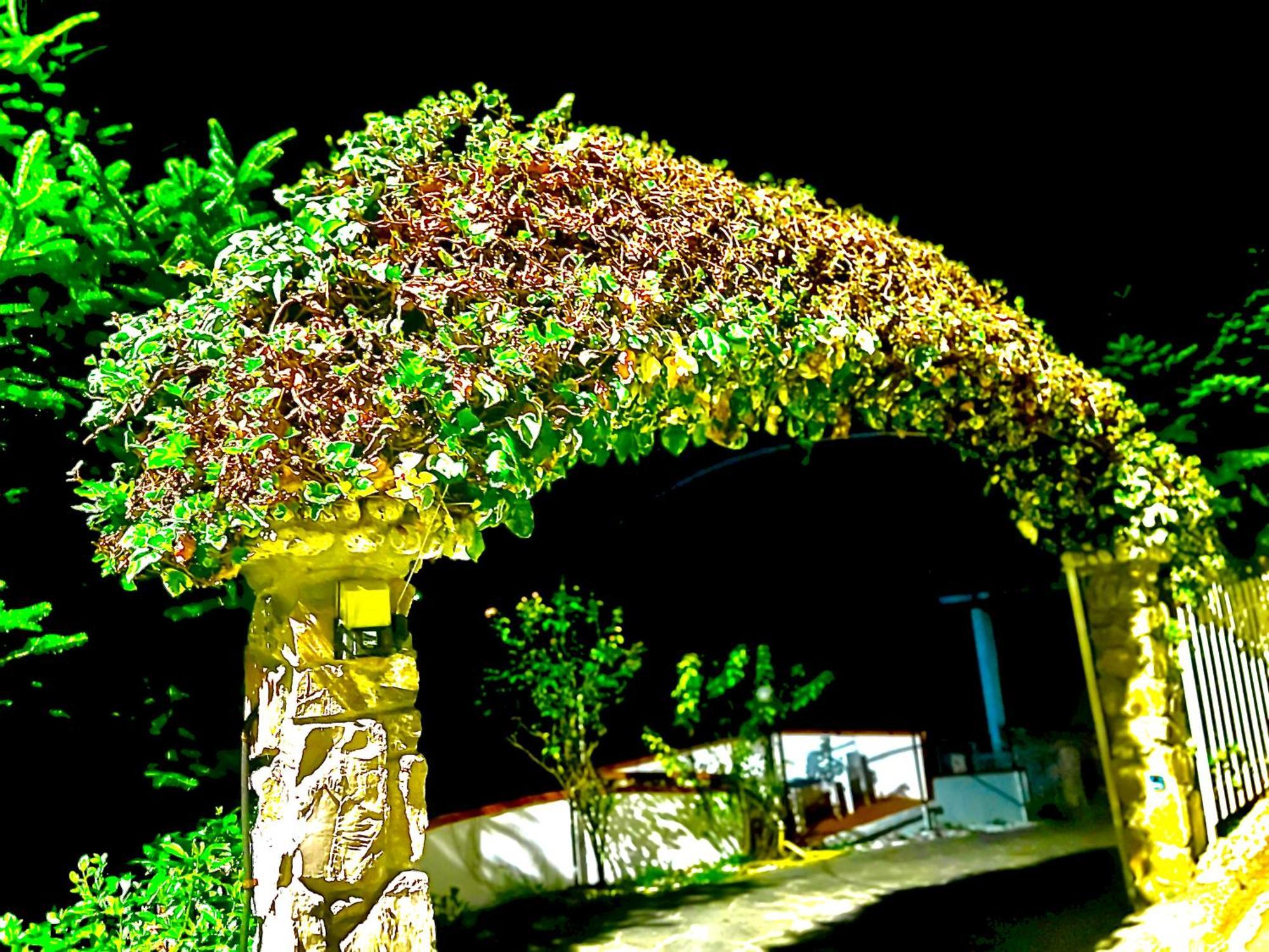 Casa Vacanza Paola Aurigo Exterior foto